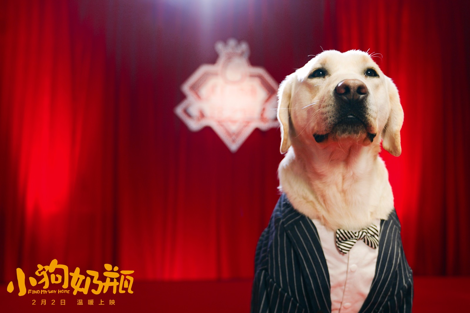 1516269491287668.jpg 中國汪之聲現(xiàn)場.jpg